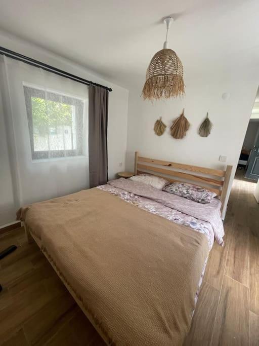 Oezel Havuzlu Kiralik Tas Villa Kusadası Extérieur photo